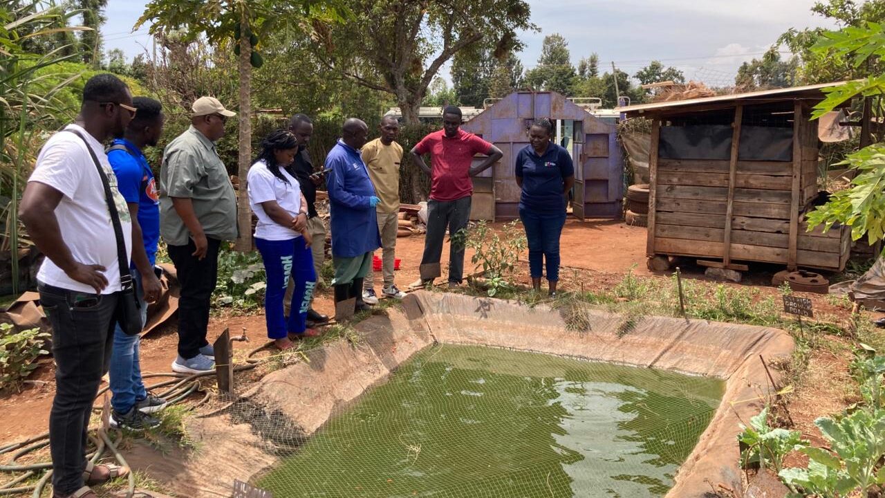 Grow24 Team in Kenya to Discover Ways to Reduce Ghana's Feed Costs and Boost Agribusiness