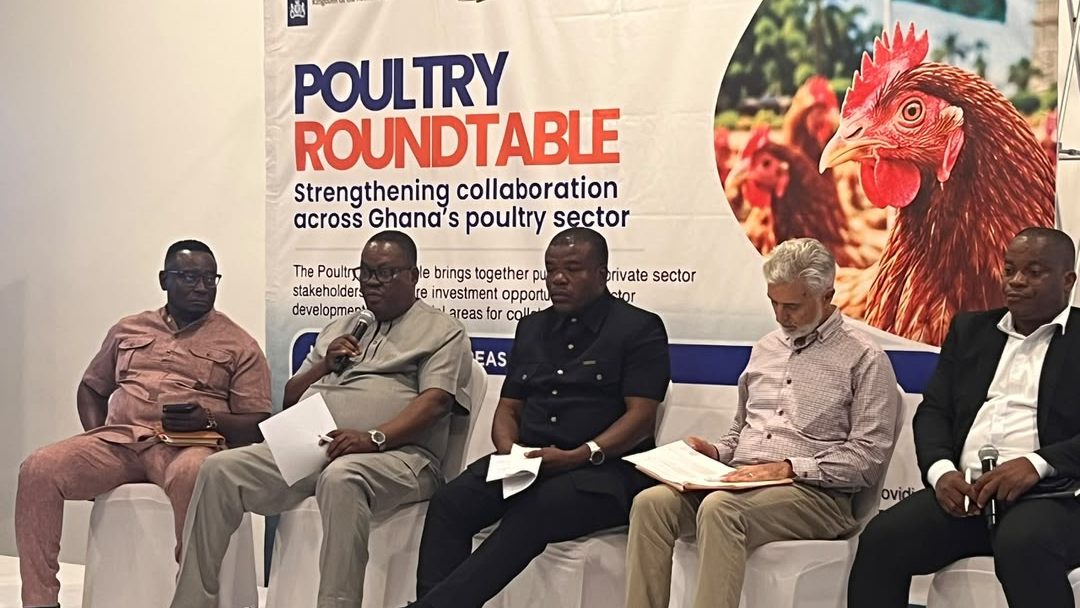 The Head of Sector Strategy and Integration at the Authority, Mr. Charles Nornoo speaks at the poultry roundtable in Accra